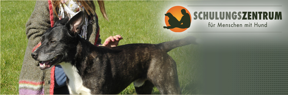 Hund &amp; Partner Hunde brauchen klare Grenzen